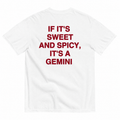 IT'S A GEMINI